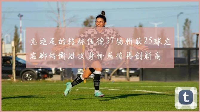 无逆足的格林伍德37场斩获25球左右脚均衡进攻身价或将再创新高
