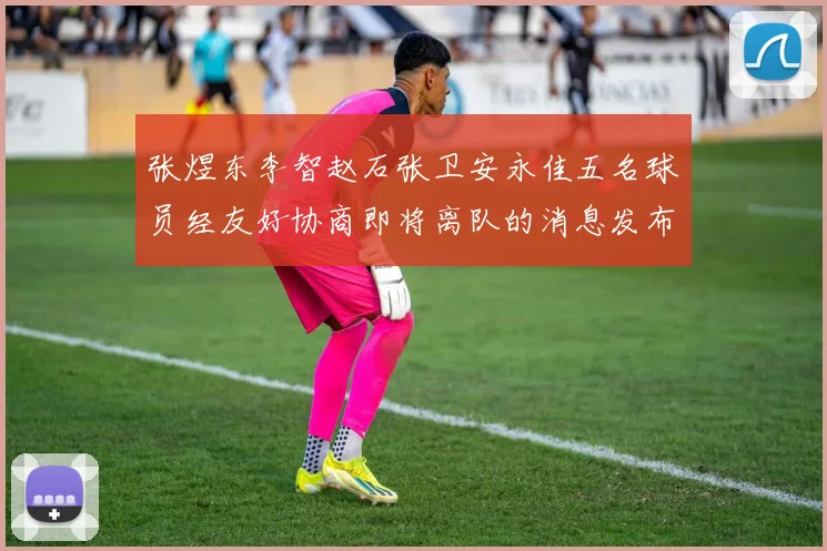 张煜东李智赵石张卫安永佳五名球员经友好协商即将离队的消息发布