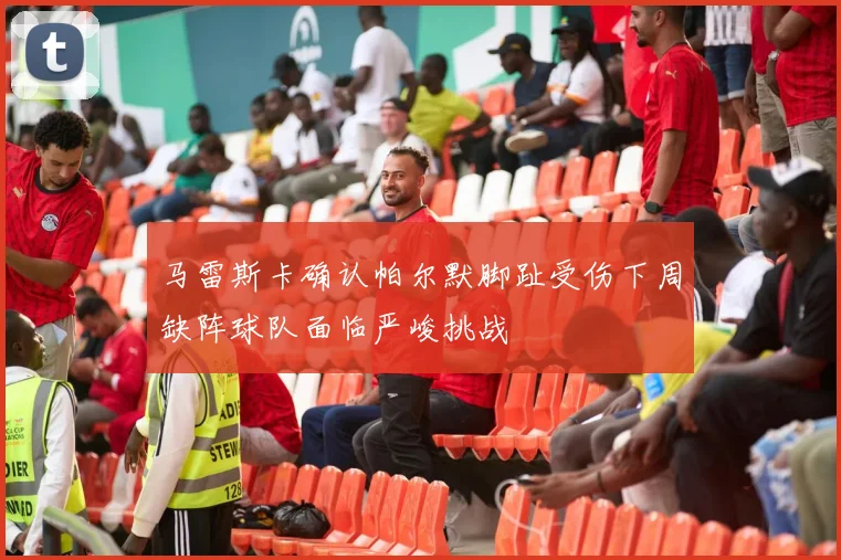 马雷斯卡确认帕尔默脚趾受伤下周缺阵球队面临严峻挑战