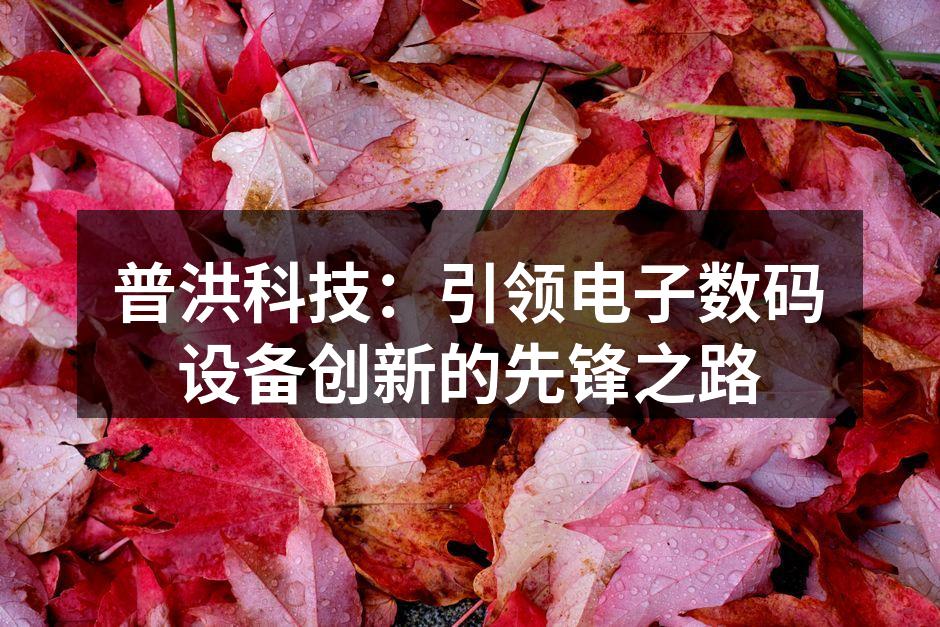 普洪科技：引领电子数码设备创新的先锋之路